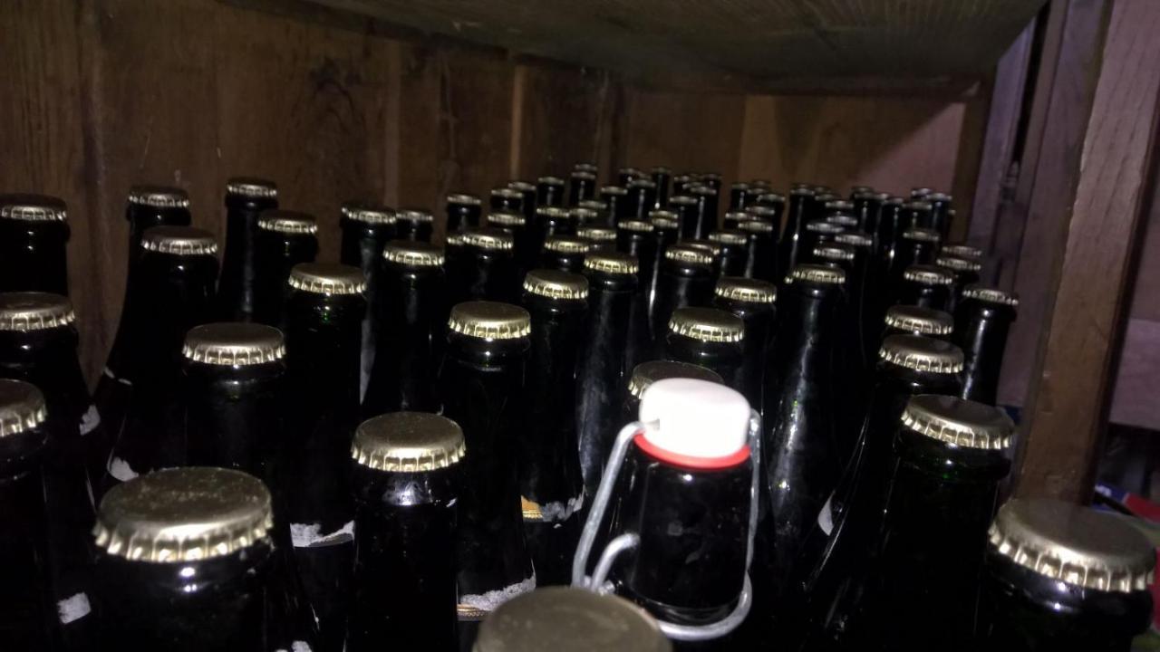 Petite Maison De Campagne Plouec-du-Trieux 외부 사진